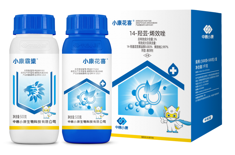小康花喜方案